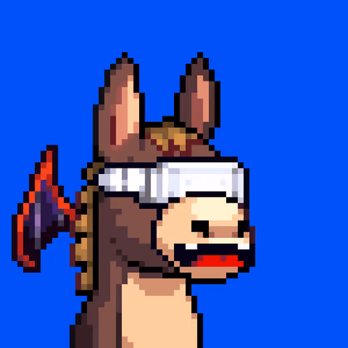 Rare Donkz #883