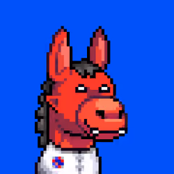 Rare Donkz #1365