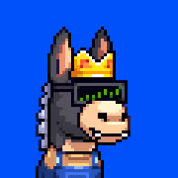 Rare Donkz #1311