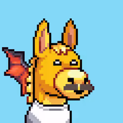 Rare Donkz #1366