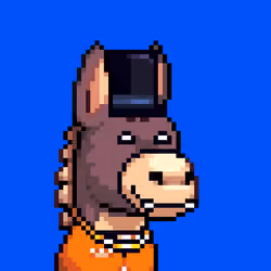 Rare Donkz #1473