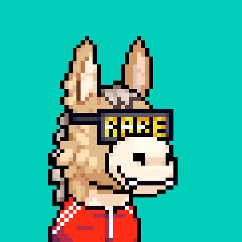 Rare Donkz #521