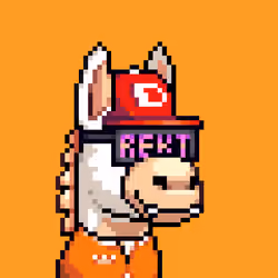 Rare Donkz #283