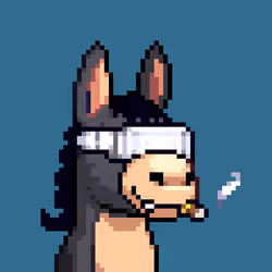 Rare Donkz #1279