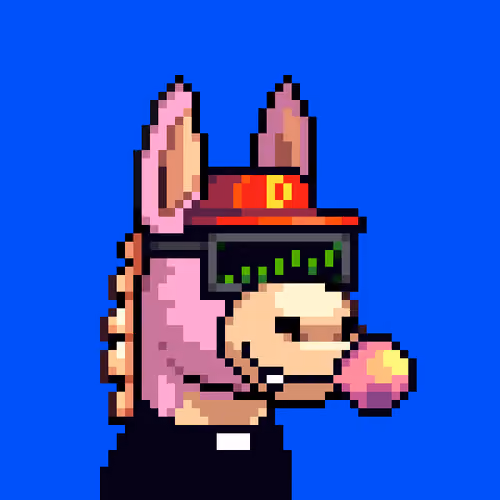 Rare Donkz #1013