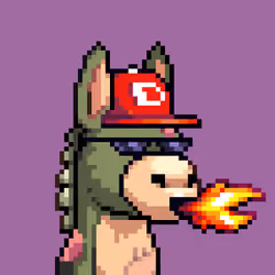 Rare Donkz #1658
