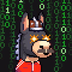 Rare Donkz #384