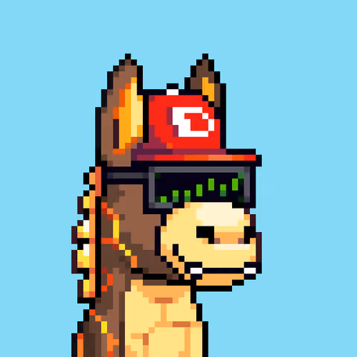 Rare Donkz #760