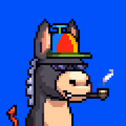 Rare Donkz #1469