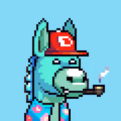 Rare Donkz #1657