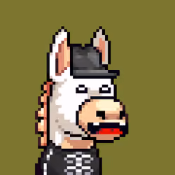 Rare Donkz #1467