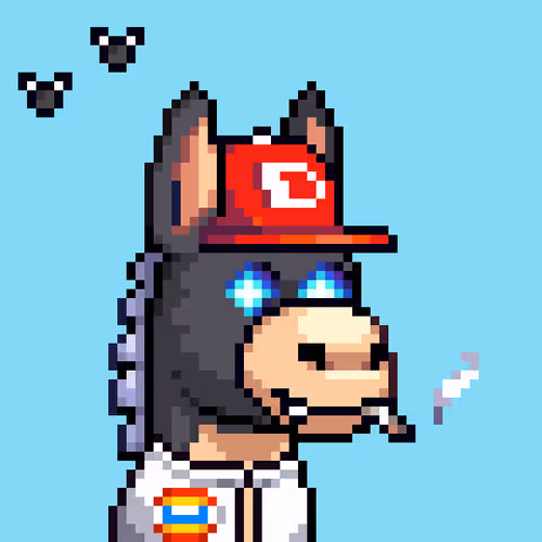 Rare Donkz #456