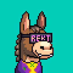 Rare Donkz #1295