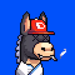 Rare Donkz #1232