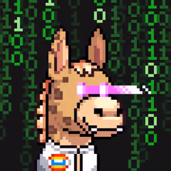 Rare Donkz #2340