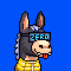 Rare Donkz #1399