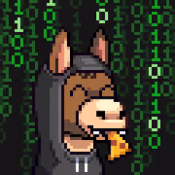 Rare Donkz #1343