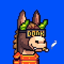 Rare Donkz #2229