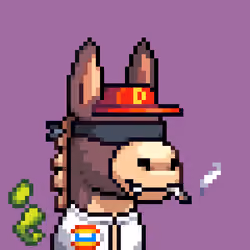 Rare Donkz #1271