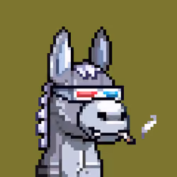 Rare Donkz #1468