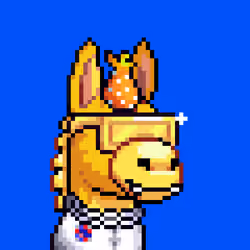 Rare Donkz #296