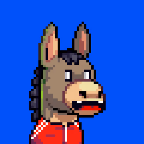 Rare Donkz #824