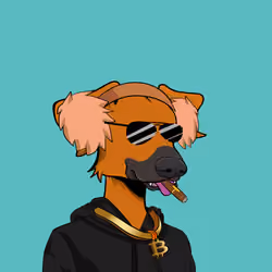 Aristodog #3124