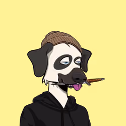 Aristodog #2464