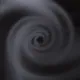 339