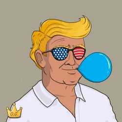 President Trump #1696