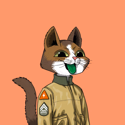 Mars Cat #210