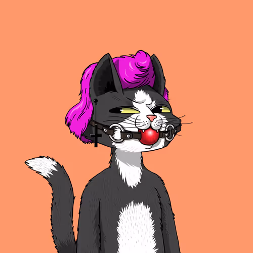 Mars Cat #1323