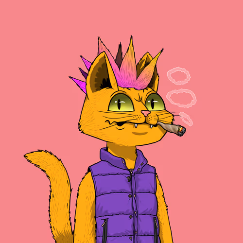 Mars Cat #4848