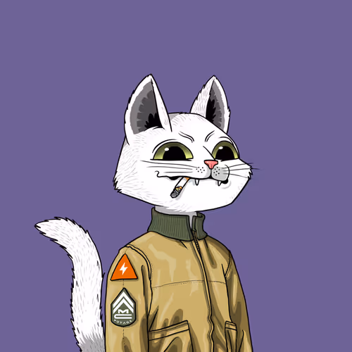 Mars Cat #3809