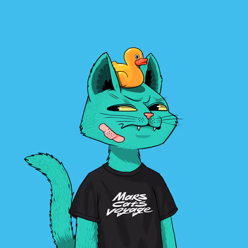 Mars Cat #311