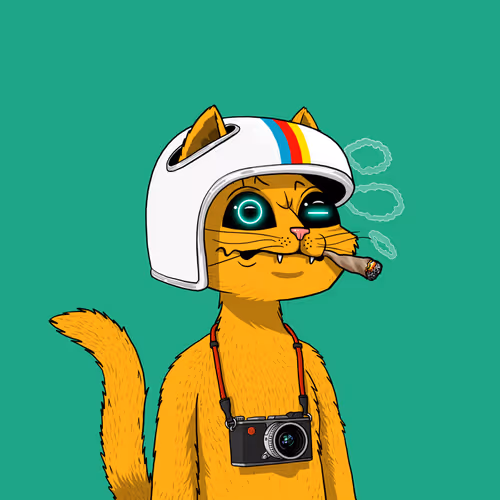 Mars Cat #5112