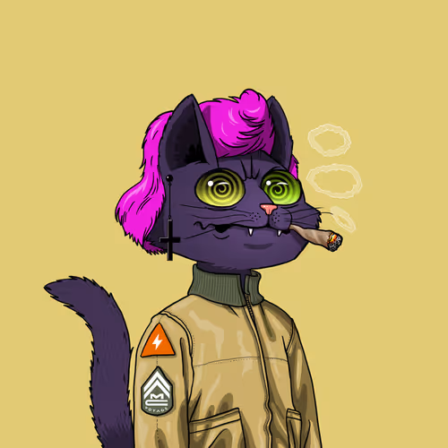 Mars Cat #5269