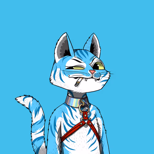 Mars Cat #2014