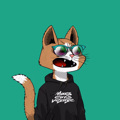 Mars Cat #1669