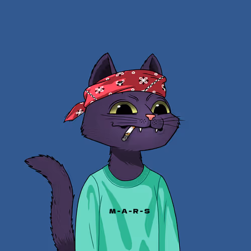 Mars Cat #2167