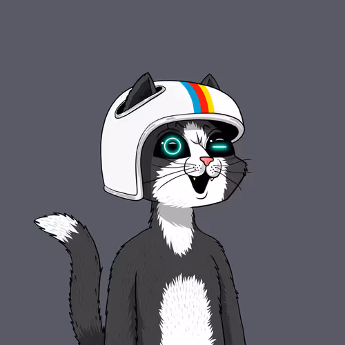 Mars Cat #8191