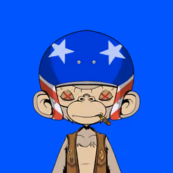 Timmy #228