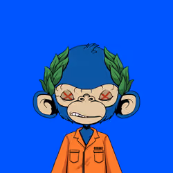 Timmy #227