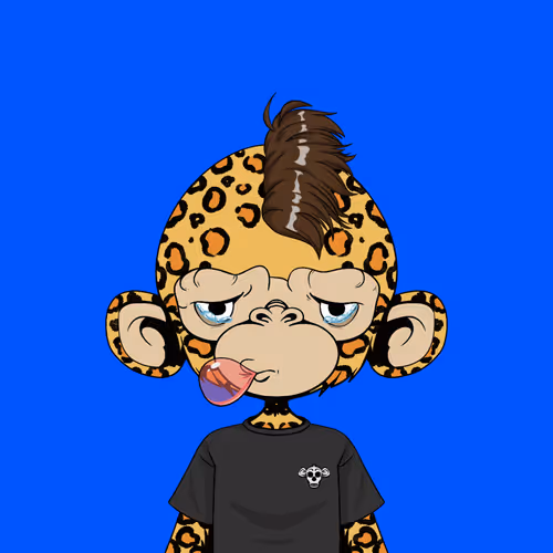 Timmy #3308