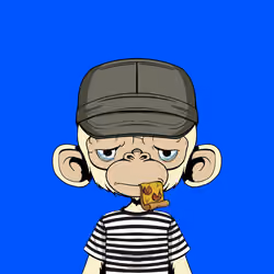 Timmy #605