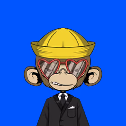 Timmy #2494