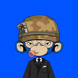 Timmy #2684