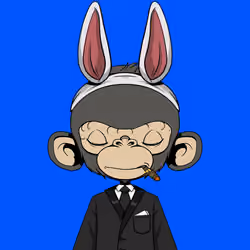 Timmy #868