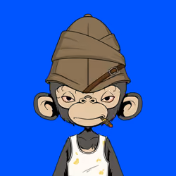Timmy #529