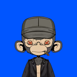Timmy #2554